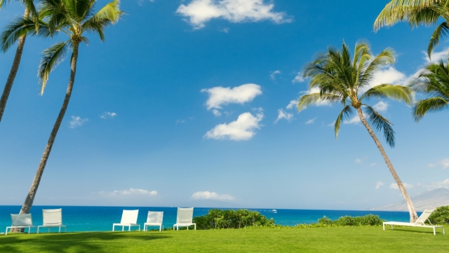 华体会hth：乒乓球台子有多少平方厘米