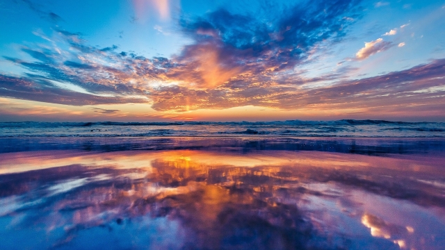 华体会hth公司：校园室内健身操厦门